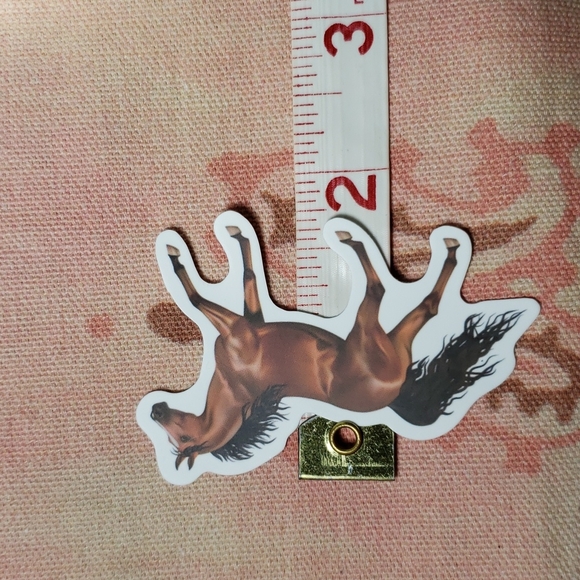 (A) Horse Sticker Pony Sticker Horse Ranch Horse Farm Country Cowgirl Horse Girl - Picture 3 of 4